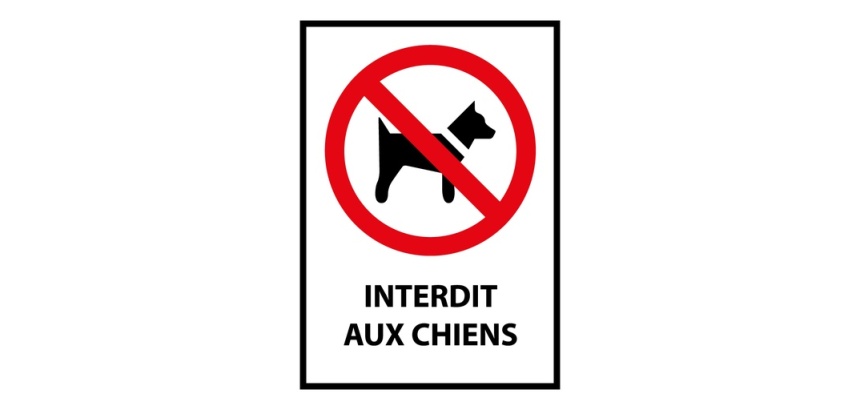 Panneau d'interdiction - Pictogramme Chiens interdits - ISO 7010