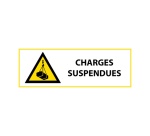 Signalétique de danger - Picto Charges suspendues - W015 - ISO 7010