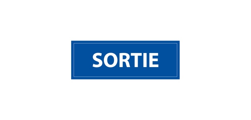 Panneau de sécurité - Signalisation Sortie - 210 x 75 mm Vinyle Souple Autocollant