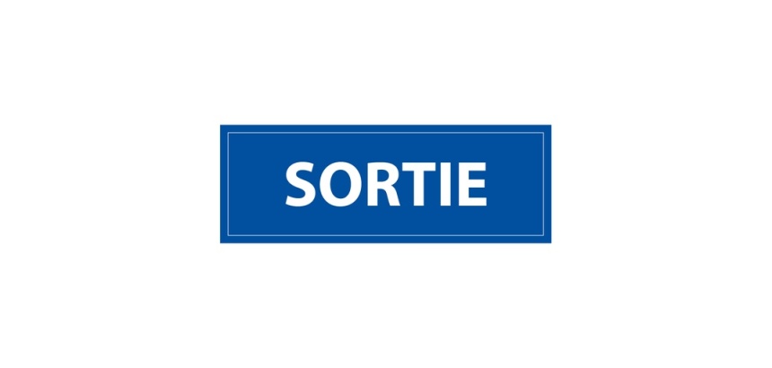 Signalétique information - SORTIE - fond bleu 210 x 75 mm