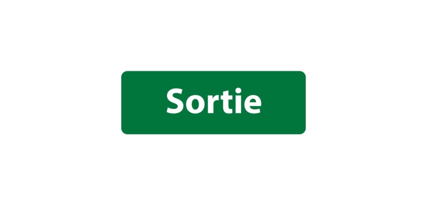 Panneau signalétique Sortie en PVC adhésif