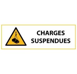 Signalétique de danger - Picto Charges suspendues - W015 - ISO 7010