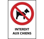 Panneau d'interdiction - Pictogramme Chiens interdits - ISO 7010 PVC dos adhésif A5