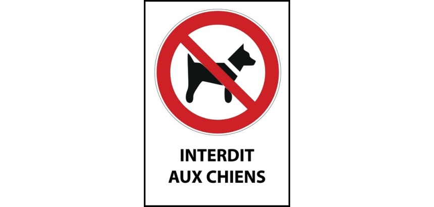 Panneau d'interdiction - Pictogramme Chiens interdits - ISO 7010 PVC dos adhésif A5
