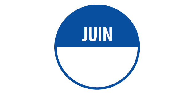 Rouleau de pastilles adhésives - Juin + zone de texte - 500 ex