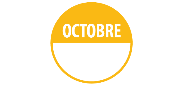 Pastilles d'inventaire "Octobre" Repositionnables - Lot de 500 ex