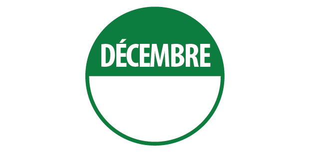 Pastilles d'inventaire "Décembre" Repositionnables - Lot de 500 ex