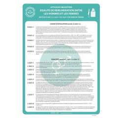 Affiche - Égalité de rémunération H/F - Papier plastifié
