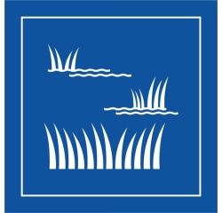 Pictogramme d'information - Pictogramme Zone humide - ISO 7001
