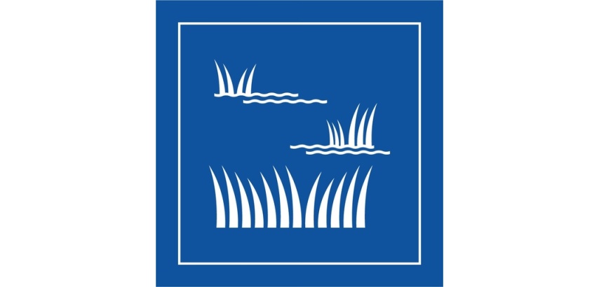 Pictogramme d'information - Pictogramme Zone humide - ISO 7001