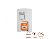 Alarme de Sécurité PPMS 230V - Radio, AGYLUS et flash - NFS 32001