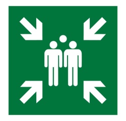 Pictogramme ISO EN 7010 - Point de rassemblement après évacuation - E007
