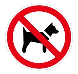 Panneau d'Interdiction - Interdit aux chiens - P021 - Norme ISO 7010