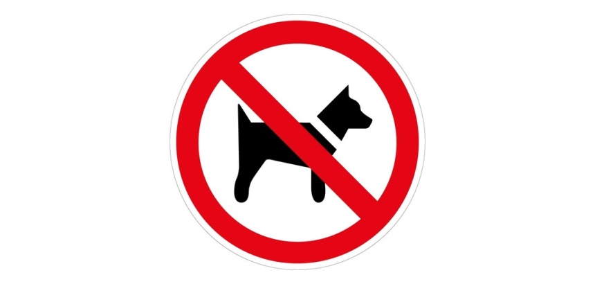 Panneau d'Interdiction - Interdit aux chiens - P021 - Norme ISO 7010