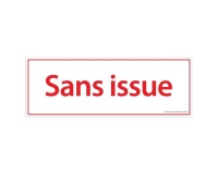 Panneau de signalétique - Picto Sans issue - 210 x 75 mm PVC 2 mm