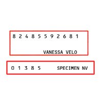 Rubber voor P25 dienstencheques werknemer OF onderneming