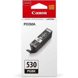 Cartouche d'encre Canon NOIR TS8750/51 S/BL