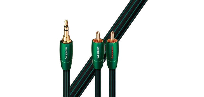Câble et Connectique Audioquest CABLE JACK 3.5 - RCA EVERGREEN 3 M