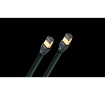 Câble et Connectique Audioquest CABLE ETHERNET RJ/E FOREST 3M