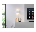 Antenne TV / TNT One For All ANTENNE TV INTERIEUR SV9465 FILTRE 5G