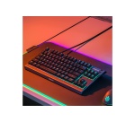 Clavier Steelseries APEX 3 TKL FR