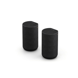 Enceinte sans fil Sony SA-RS5 Enceintes arriere satellites sans fil avec batterie integree