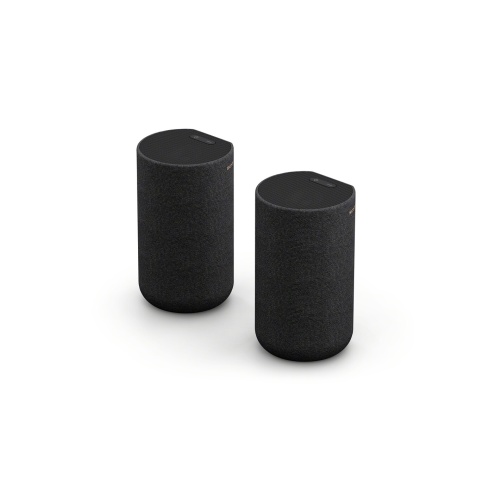 Enceinte sans fil Sony SA-RS5 Enceintes arriere satellites sans fil avec batterie integree