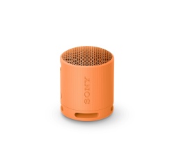 Enceinte sans fil Sony SRS-XB100 - Corail
