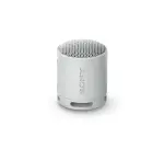 Enceinte sans fil Sony SRS-XB100 - Gris Perle