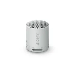 Enceinte sans fil Sony SRS-XB100 - Gris Perle