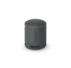 Enceinte sans fil Sony SRS-XB100 - Noir Basalte