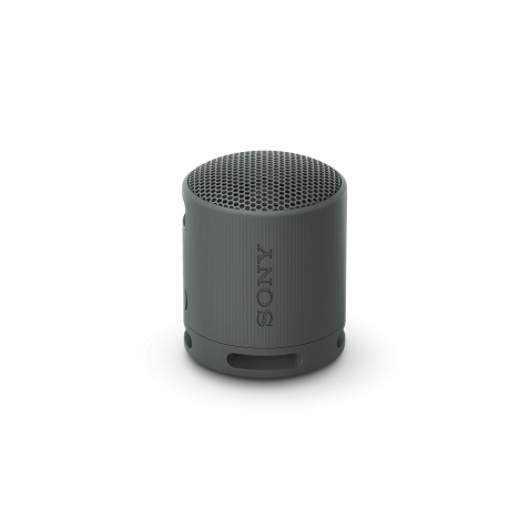 Enceinte sans fil Sony SRS-XB100 - Noir Basalte