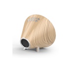 Radio-réveil Nasa WSP 1700WD Bois