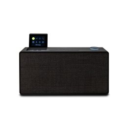 Radio Pure Evoke Home Coffee Black