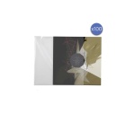 Accessoire platine vinyle Enova Hifi Lot de 100 pochettes pour disques vinyle 33 tours PEV 100 33T