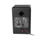 Enceinte connectée Hifi Edifier R1010BT Noir vendues par paire