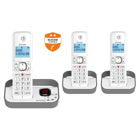 Téléphone sans fil Alcatel F 860 VOICE TRIO