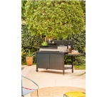 Plancha Forge Adour PREMIUM GAZ 75 CHASSIS ACIER NOIR ET GRIS