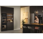 Cave de vieillissement Haier hws247geh1