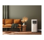 Climatiseur mobile Beko BP207C
