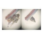 Accessoire platine vinyle Nagaoka Produit de nettoyage AM-801/2 pour diamant (stylus) de cellule phono