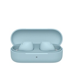 Ecouteurs Sony bluetooth sans fil WF-C510