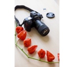 Objectif zoom Tamron. Hybride 90 mm F/2,8 DI III Macro VXD pour Nikon Z