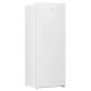 Réfrigérateur 1 porte Beko RSSE265K40WN
