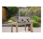 Plancha Krampouz Plancha Saveur inox gaz