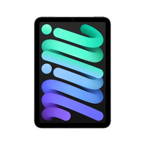 iPad Apple Mini 8,3" 256 Go Gris Sidéral 5G 7 ème génération 2024