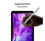 iPad Apple Mini 8,3" 512 Go Mauve 5G 7 ème génération 2024