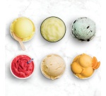 Accessoire de cuisine Ninja Lot de 2 pots compatibles avec CREAMI DELUXE NC501EU