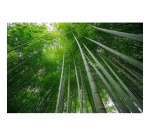 Objectif zoom Tamron. 11-20mm F/2.8 Di III-A RXD pour Canon RF