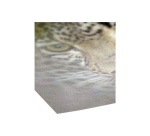Papier d'impression Hahnemühle Ramette Natural Line Bamboo A4 290 g 25 feuilles Blanc naturel